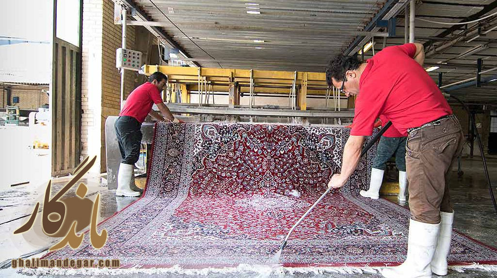 مجهزترین کارخانه قالیشویی