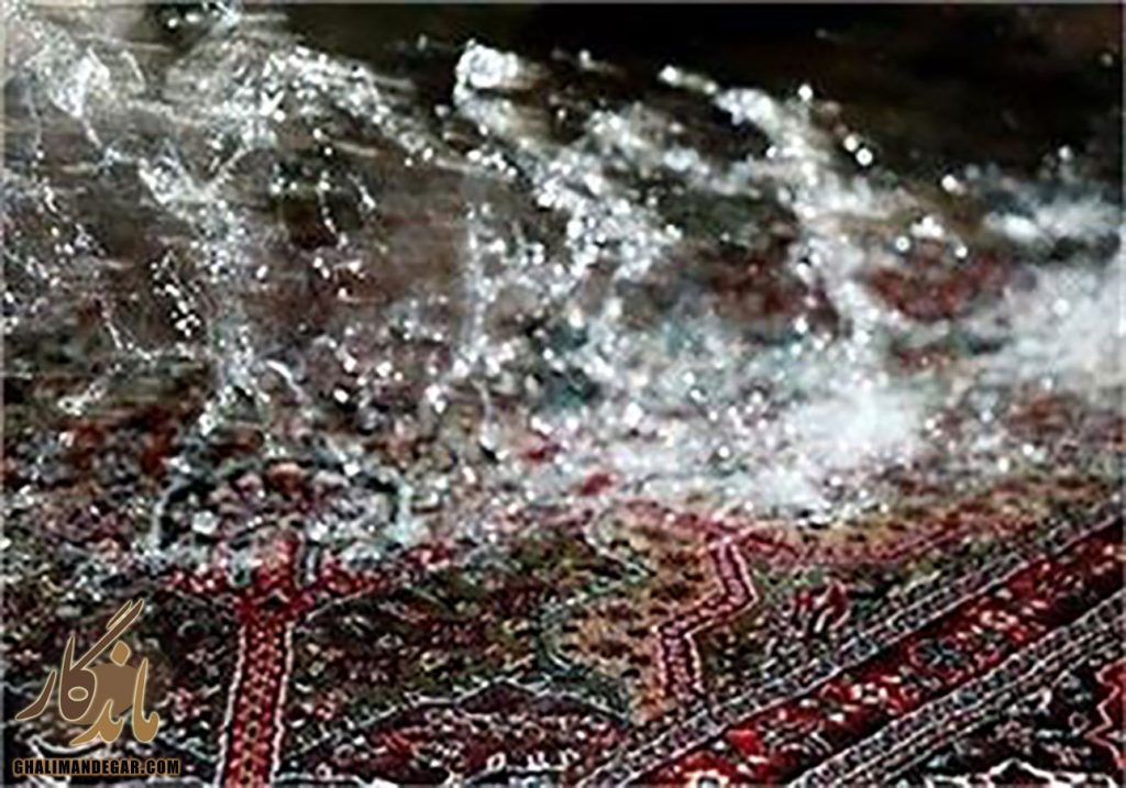 قالیشویی ماندگار، لکه برداری