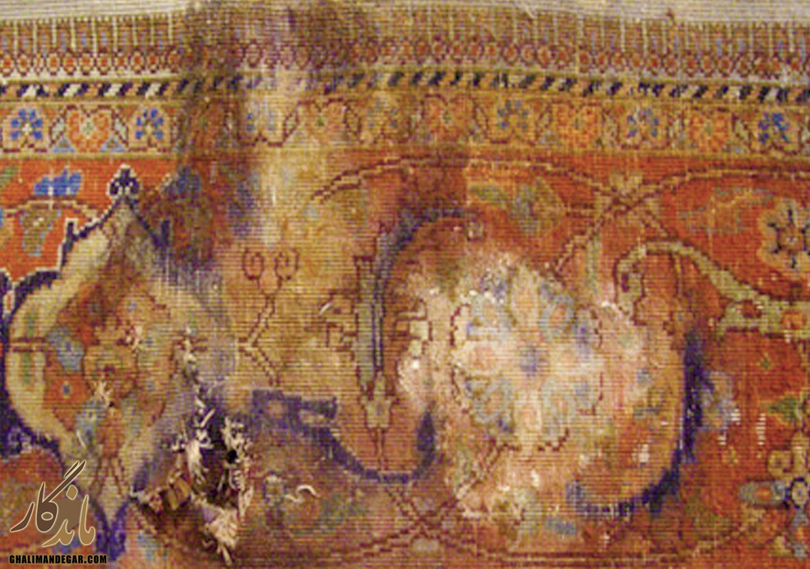 پوسیدگی فرش