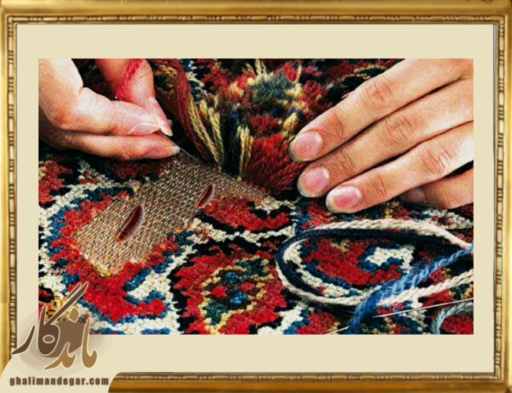 جلوگیری از بیدزدگی فرش