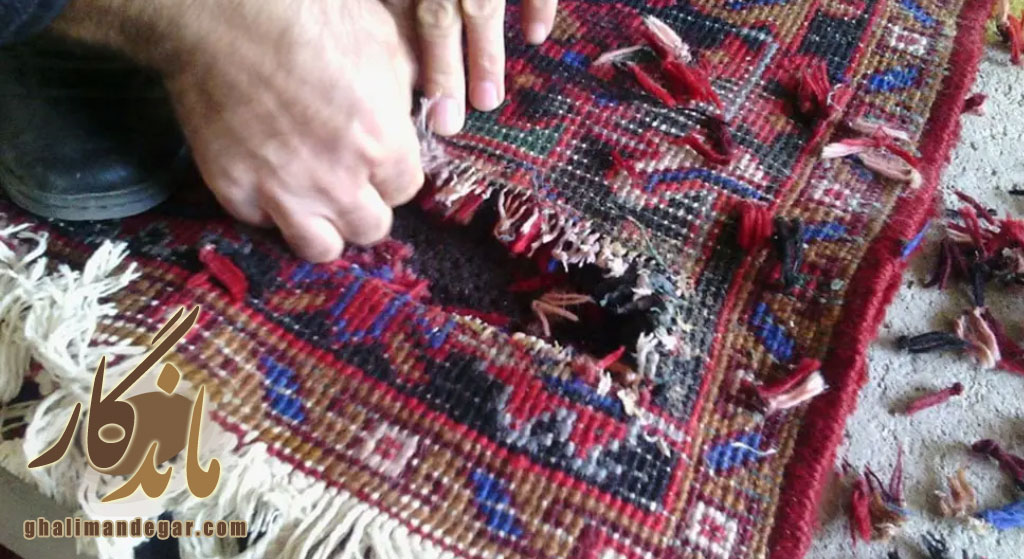  مراقبت و نگهداری بلندمدت پس از بیدزدایی