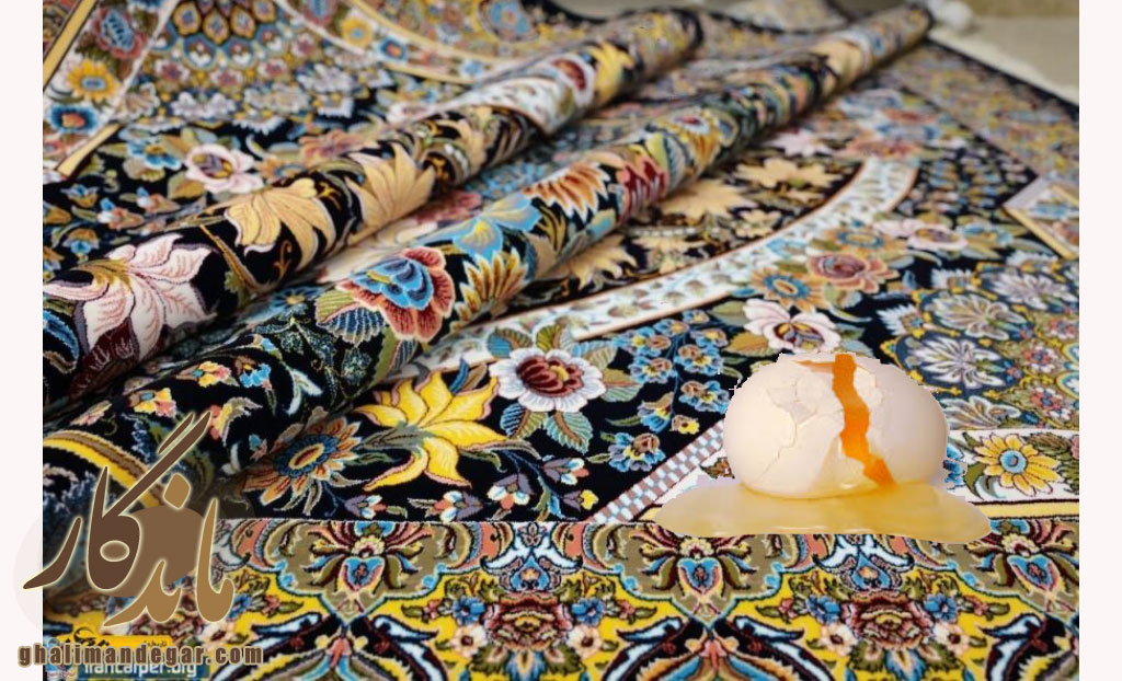 مراحل پاکسازی تخم مرغ