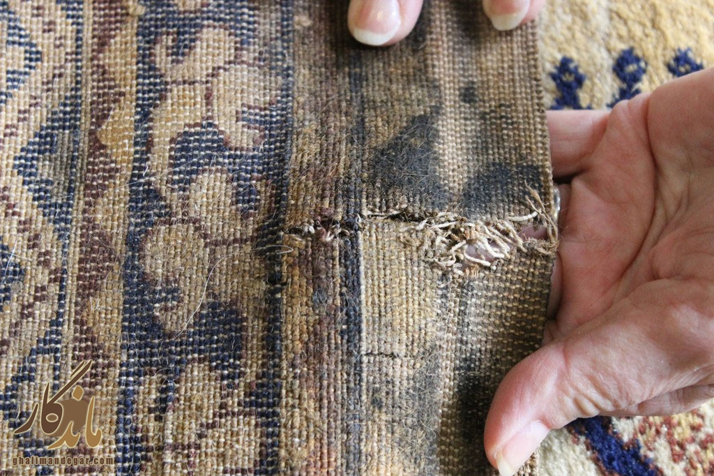 پوسیدگی فرش